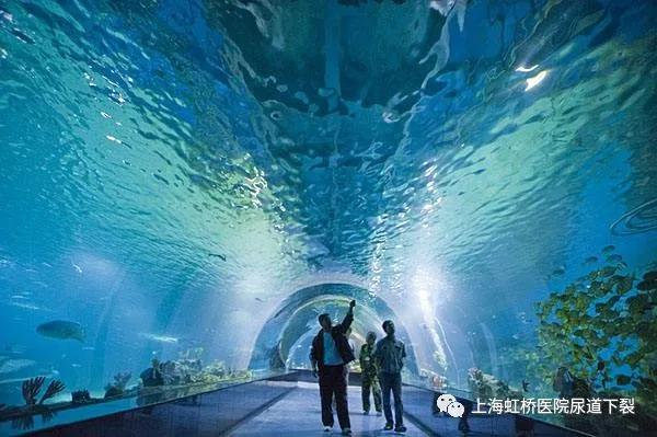 助力快乐童年｜上海虹桥医院尿道下裂男子汉成长营游学开始啦