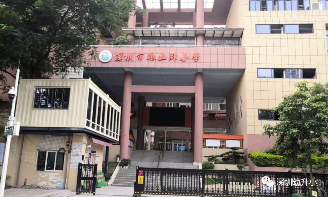 王炸组合第一,高考王炸组合哪三科