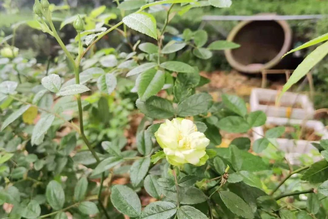 望城区的美景,望城的美景有哪些