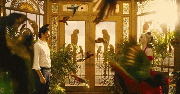 她爆红了整个娱乐圈,她的成名史