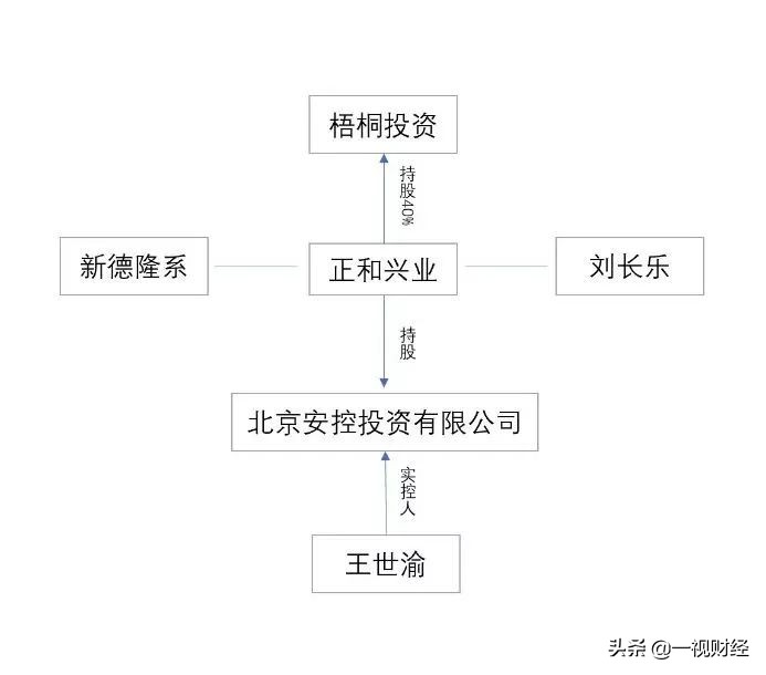 德隆重生记：被吸血的上市公司与觉醒的中小投资者《新潮能源篇》