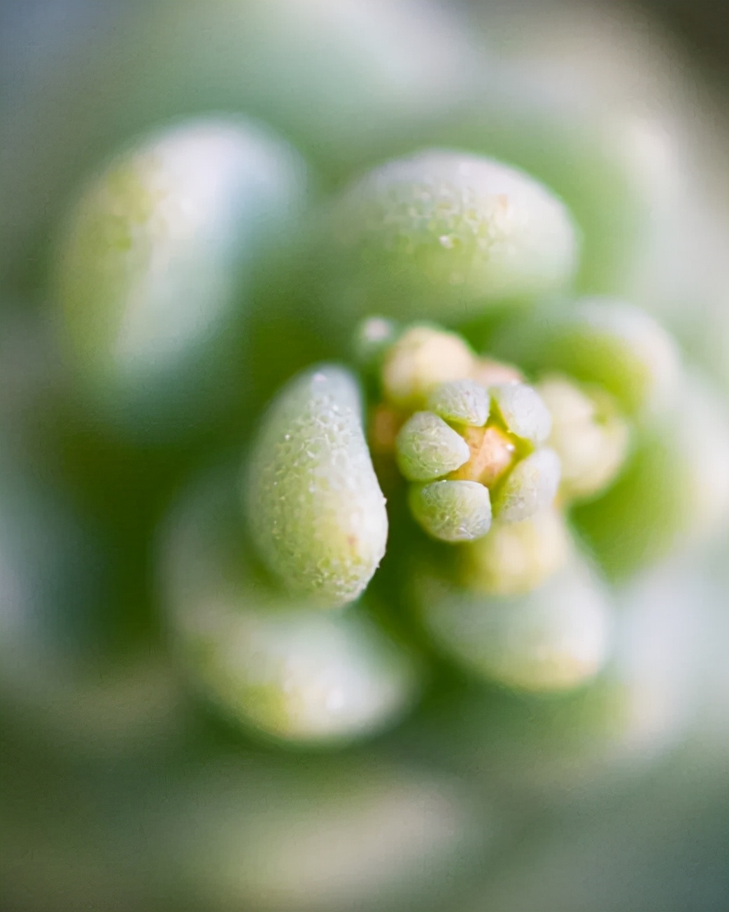 最经典的自嘲诗句,句句戳心的自嘲诗句