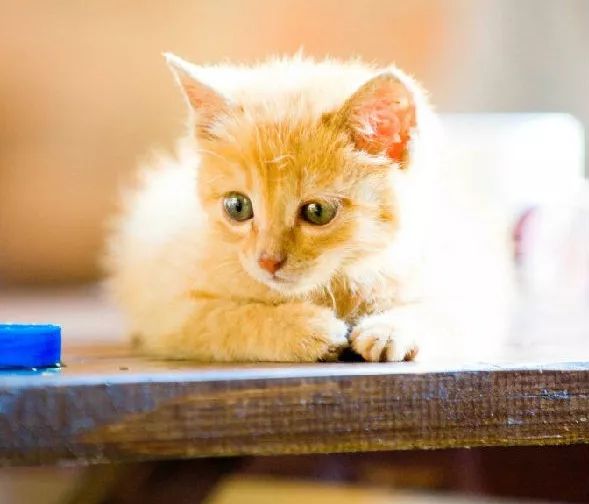 摄影景深和用光,摄影景深是什么意思