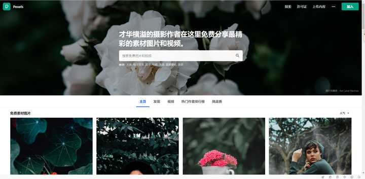 免费ps素材网站推荐,ps工笔画免费素材网址