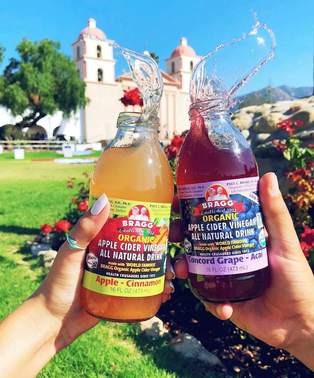 明星的副业是什么,明星副业比你还努力