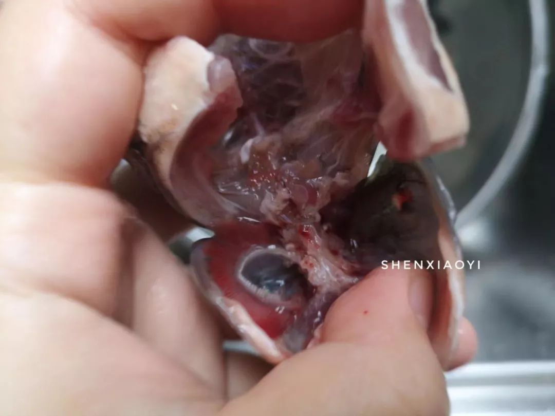 清汤鱼要怎么煮汤才会白,如何让鱼煮得更白汤