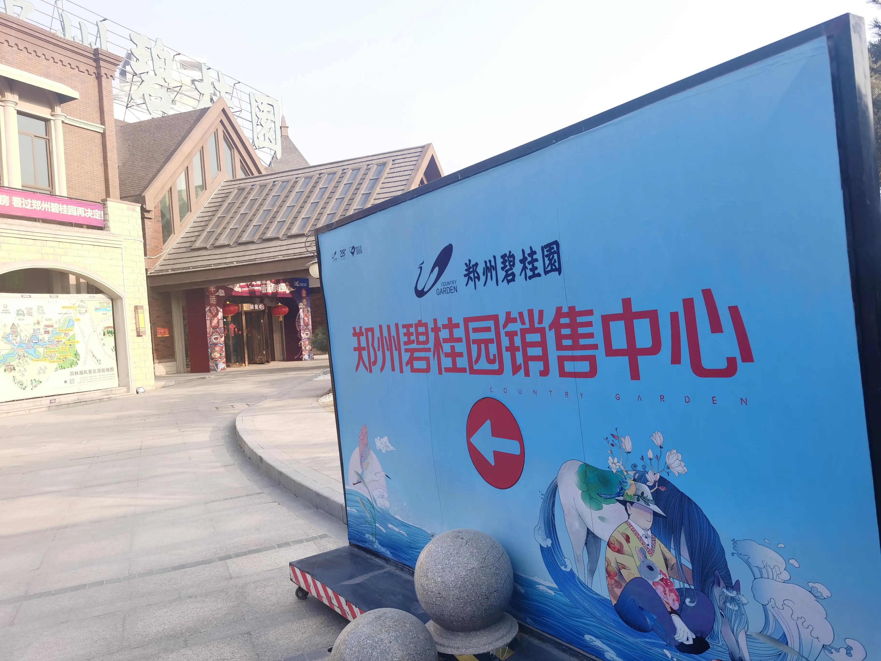 碧桂园业主买房的故事,碧桂园老业主受影响吗