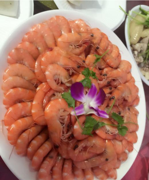 带你踏上三亚之旅,跟着我的脚步去旅行歌曲