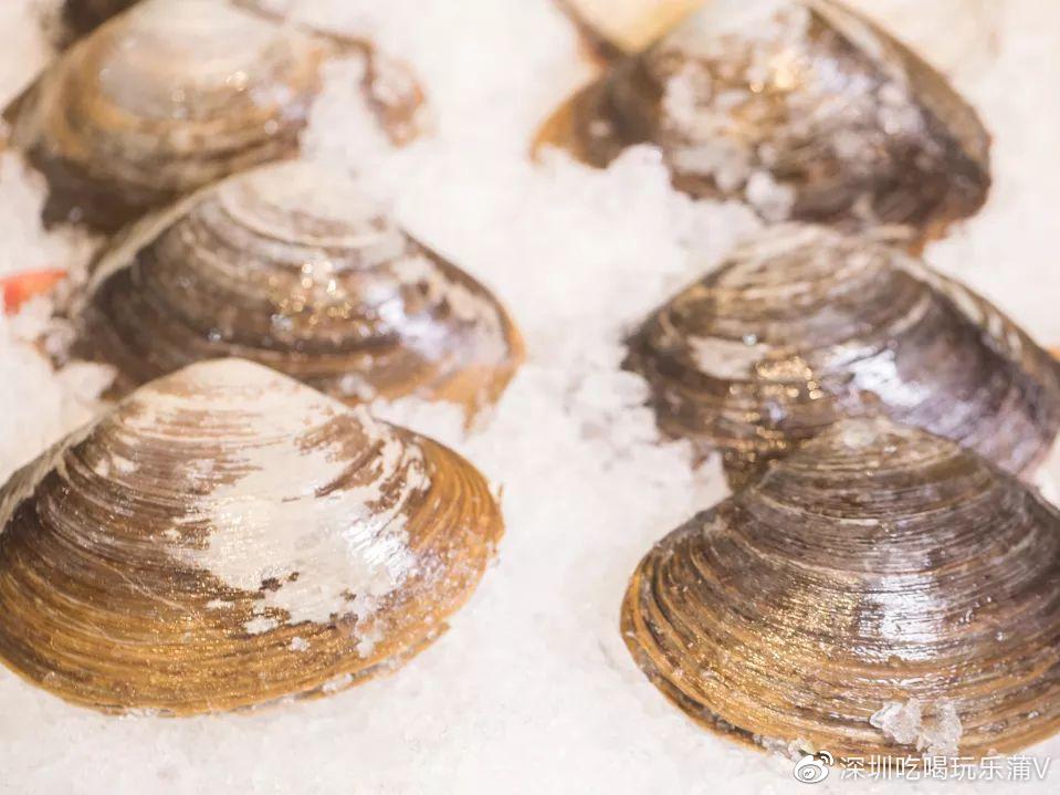 宝安人的顺德饭堂，生蚝用木桶蒸，还加黑松露