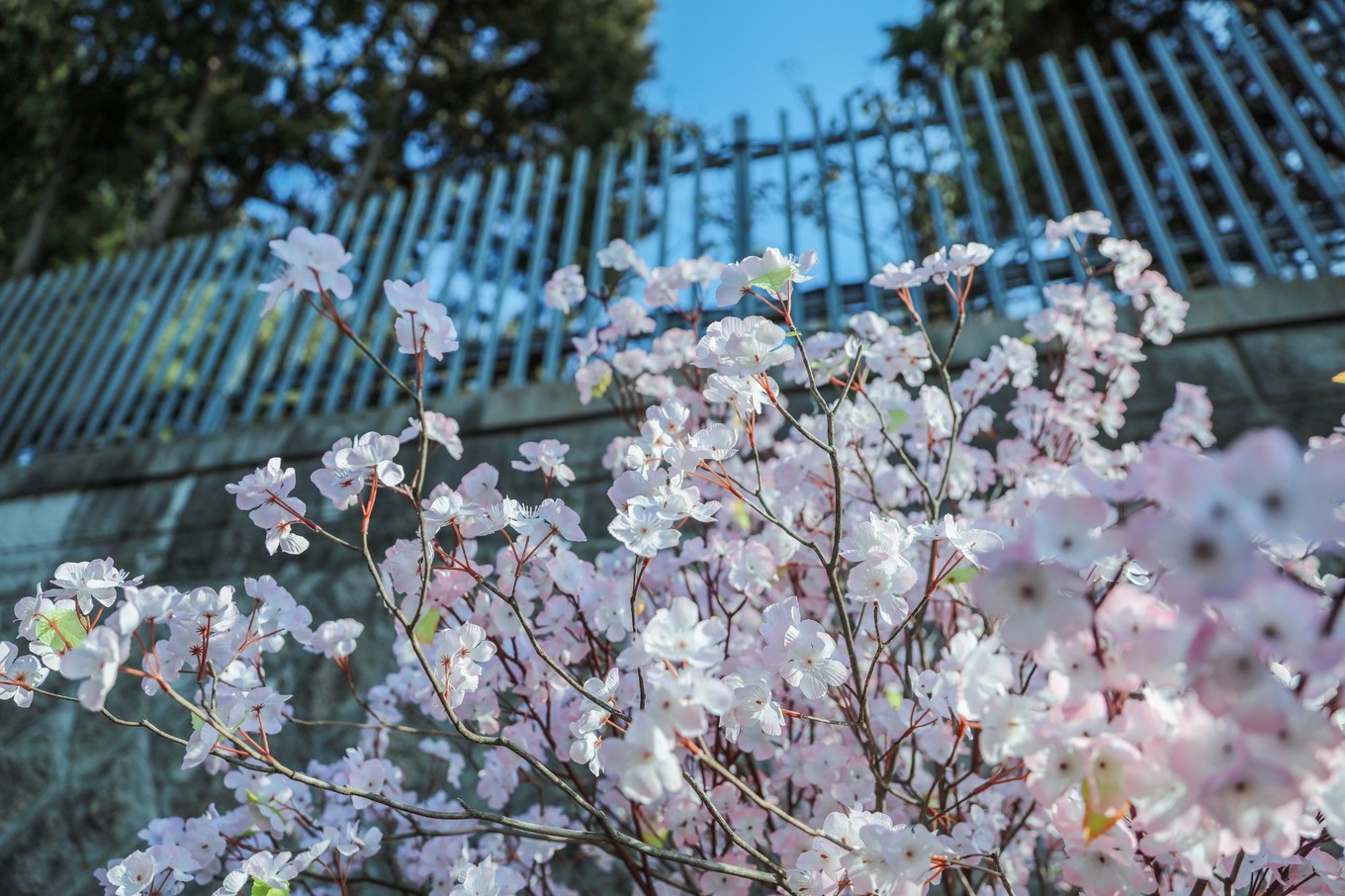 韩国冬天该有的样子,韩国第一次过冬天