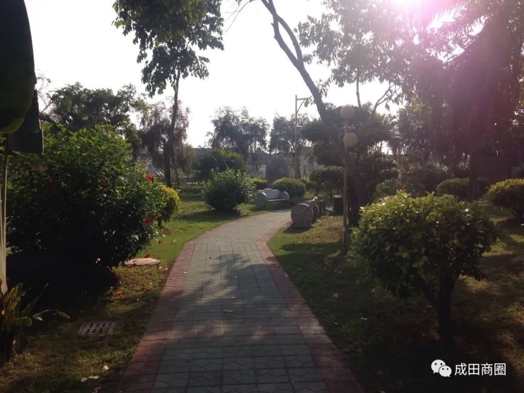 成田文化体育公园,成田镇体育馆