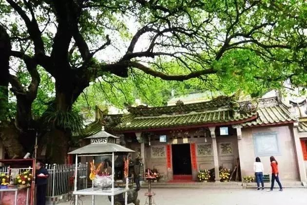 请不要这样子,请不要这样离开我