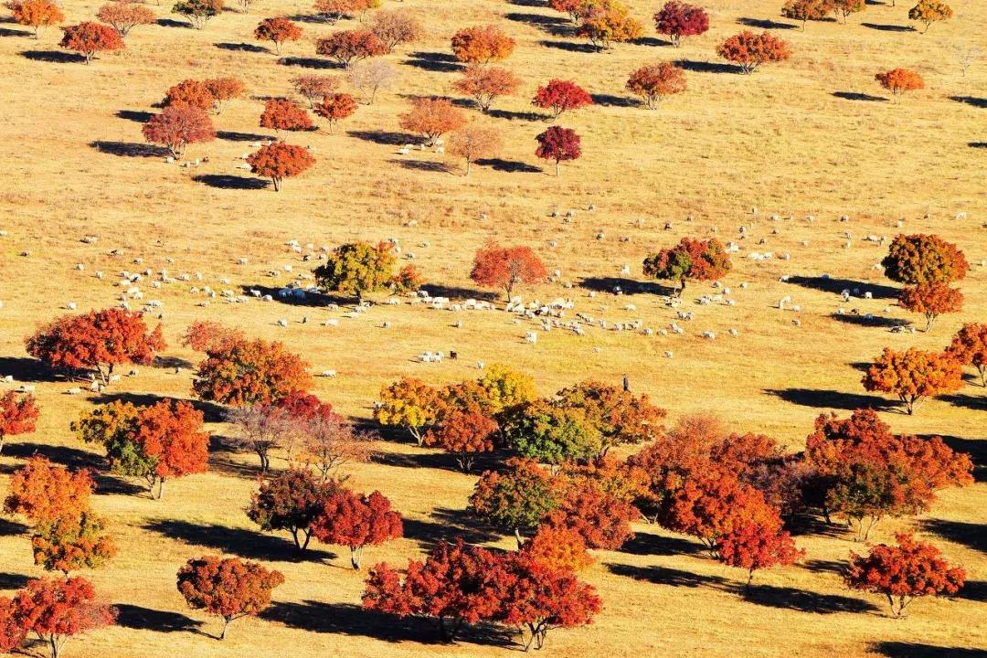 2019必去的旅行地,8月最新旅行地推荐