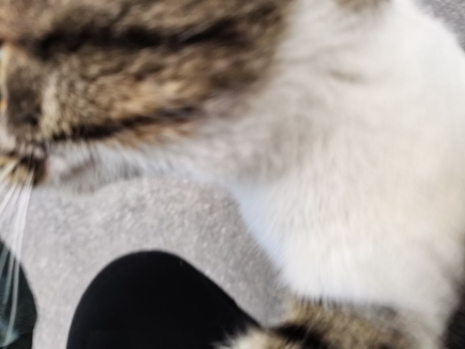 对同济大学的印象,你对同济大学有哪些认识