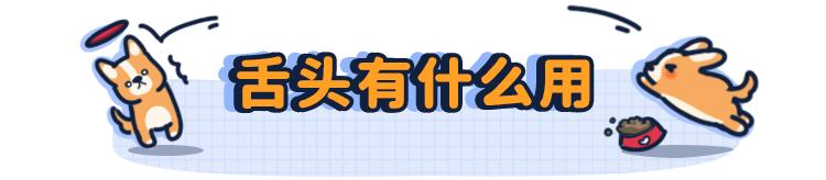 为什么狗的舌头那么长,狗的舌头为啥会长毛