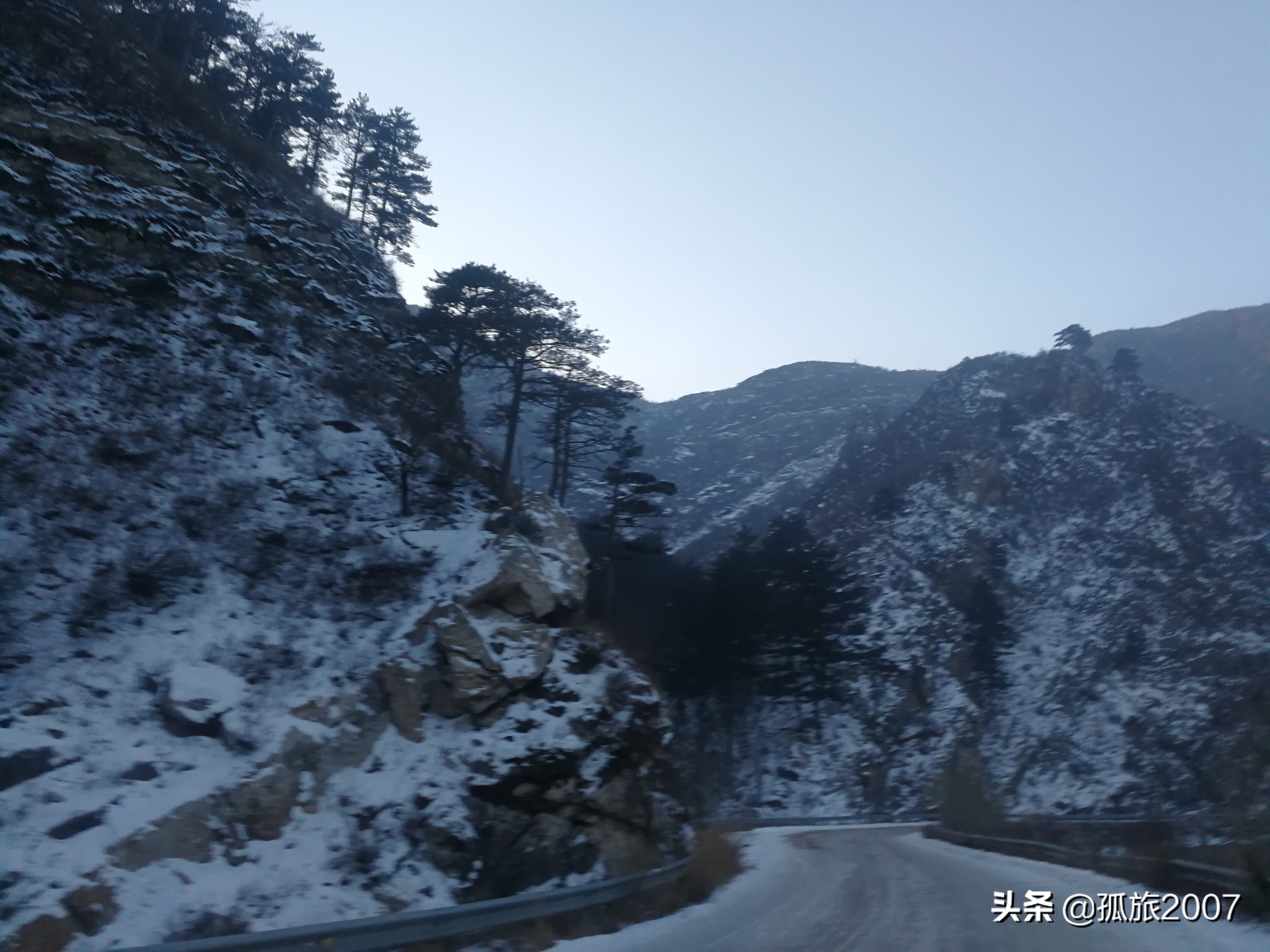 哈拉沁老爷庙迎客松多少年了,哈拉沁古庙