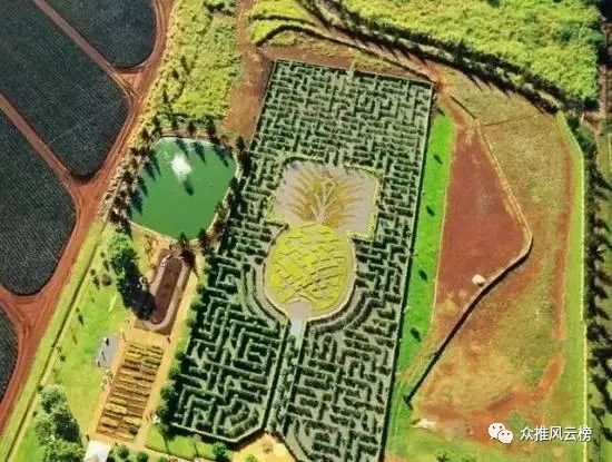 世界最大的迷宫在哪里,世界上排名第一的迷宫