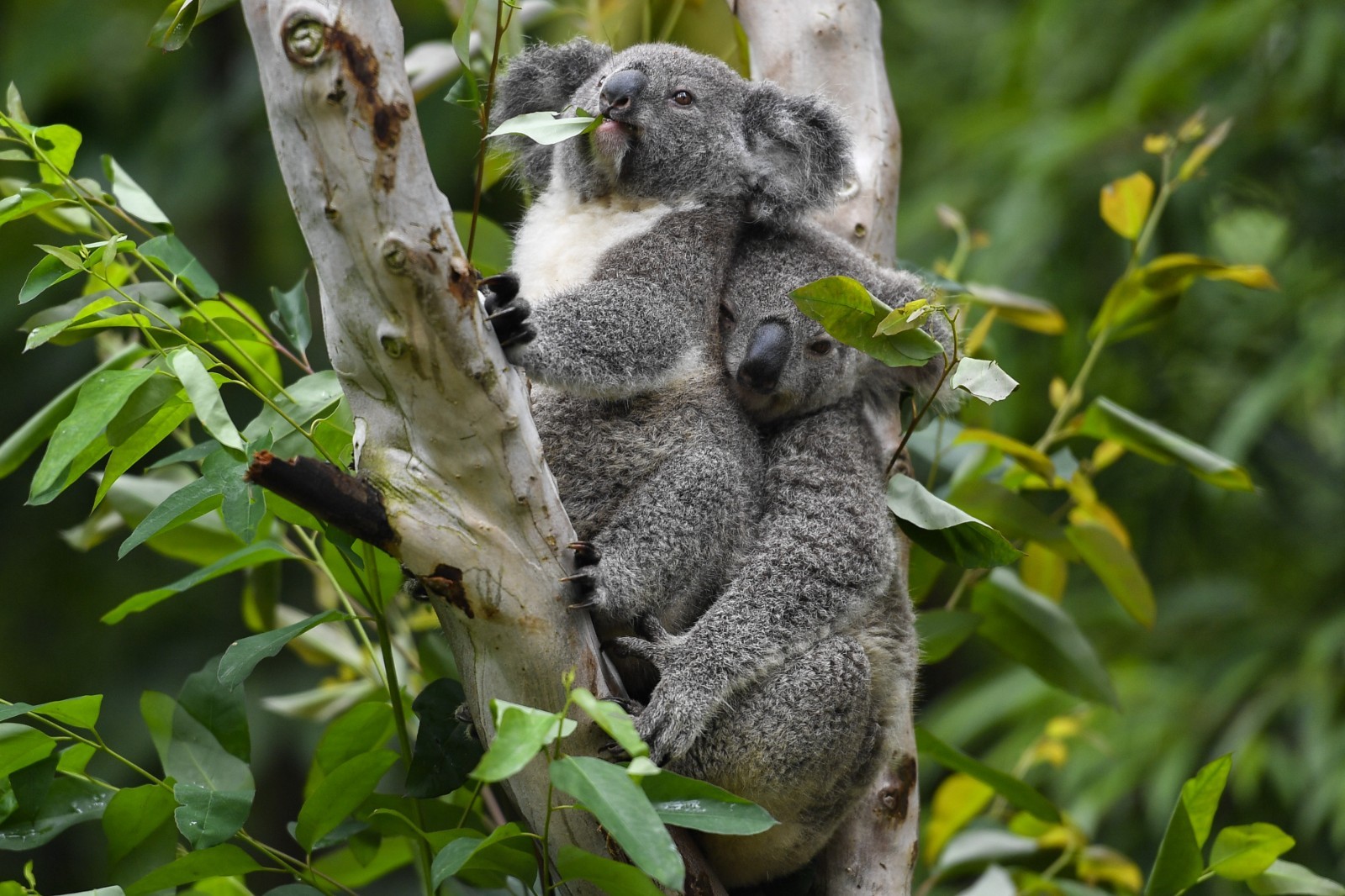 中秋国庆去哪儿？广东两个全域旅游示范区，可以去体会下
