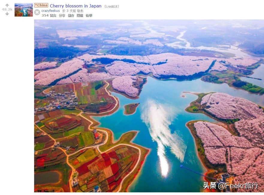 全球最大樱花基地原来就藏在贵州！万亩花海通到湖，机票低至2折