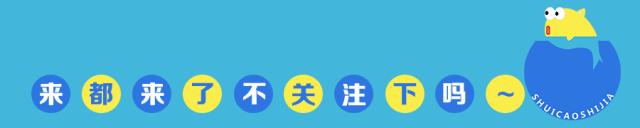 七彩神仙鱼水族箱布景,七彩神仙鱼苗繁殖技术