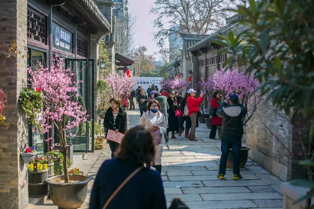 徐州市中心处竟隐藏着一片梅花林，时尚又古香的街区被映成粉色