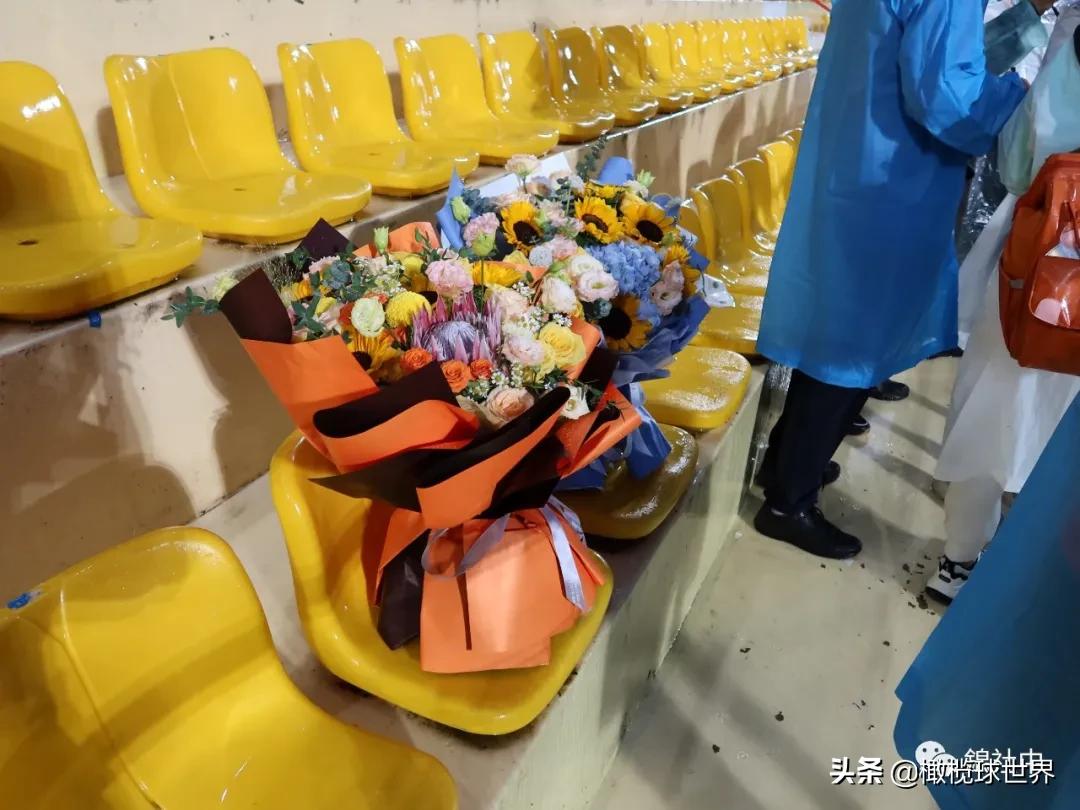 我和我的体育故事,我和运动会的故事