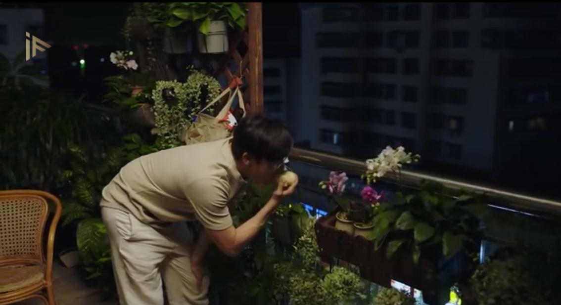 《隐秘的角落》深度解析：4种食物有玄机，苹果到底得罪了谁？