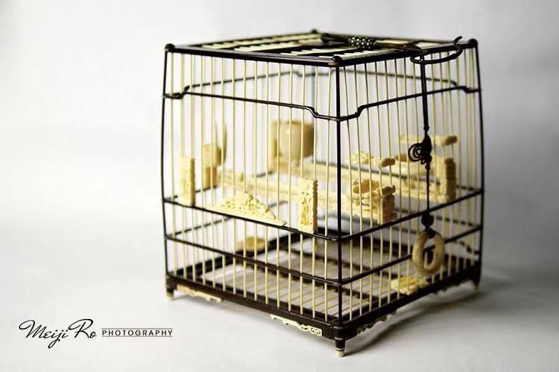 捉小鸟的鸟笼制作视频,铁鸟笼制作方法全过程视频