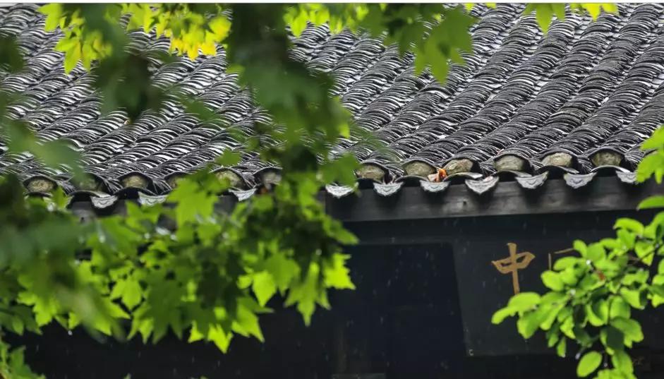 蜀中扬旗旅游攻略,四川长征旅游线路