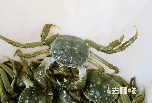 怪奇杂货店,惊奇杂货铺