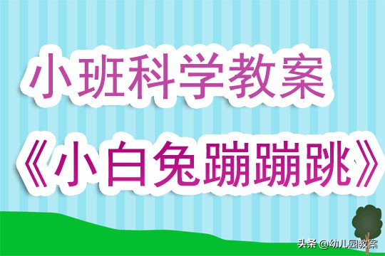 小白兔蹦蹦跳小班公开课,小班科学活动小兔子乖乖教案反思