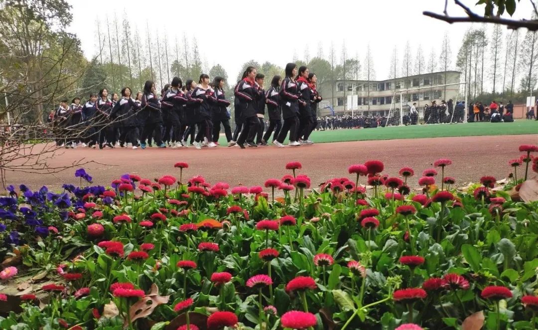 揭秘！挤破头都想进的四七九，到底好在哪里？