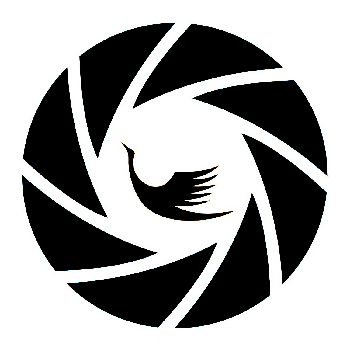 武钢集团武汉江北钢铁有限公司,大武汉系列之武汉印染厂