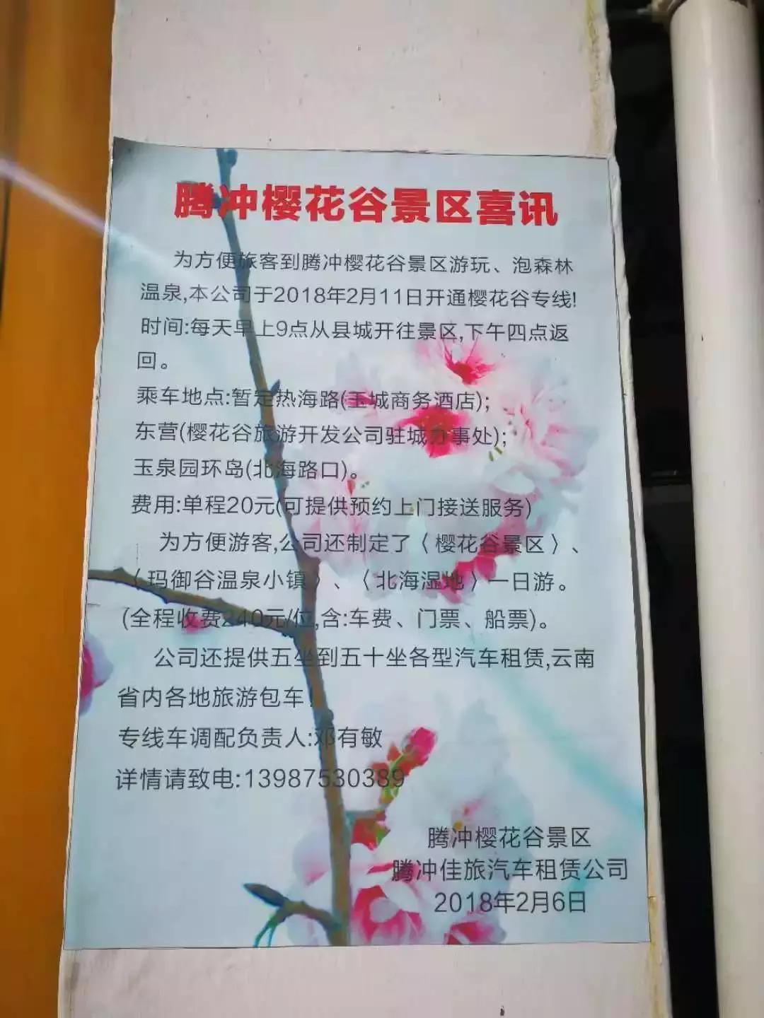 腾冲樱花谷景区,腾冲樱花谷