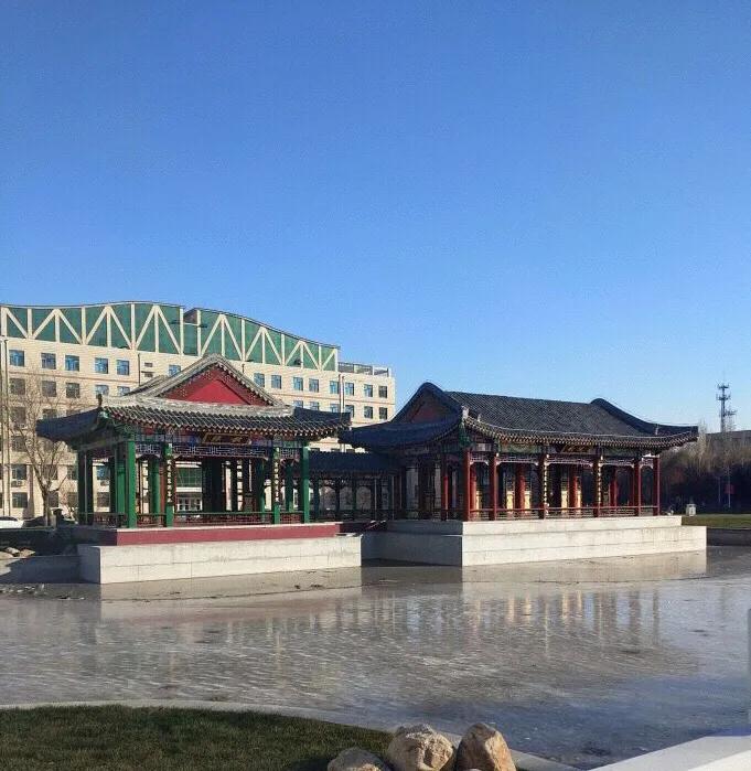 东北农业大学在黑龙江排名第几,黑龙江省前五名的大学