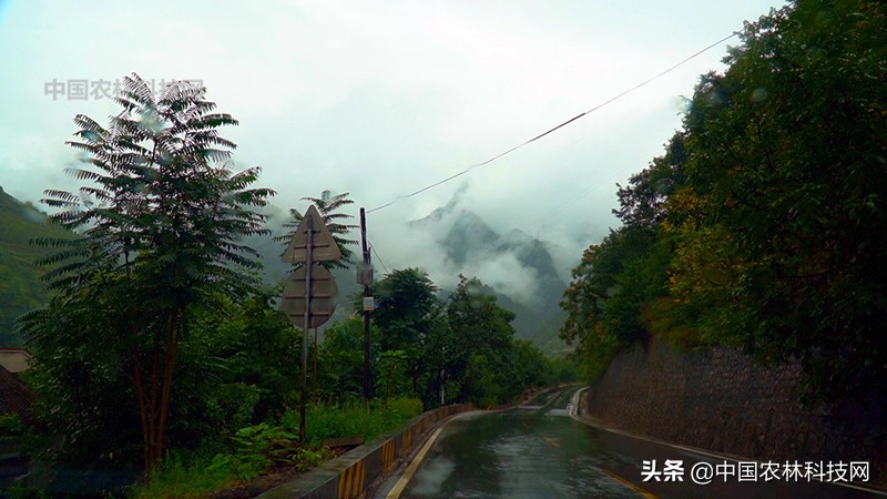 天水到大水川一日游,自驾游到天柱山停哪里最方便