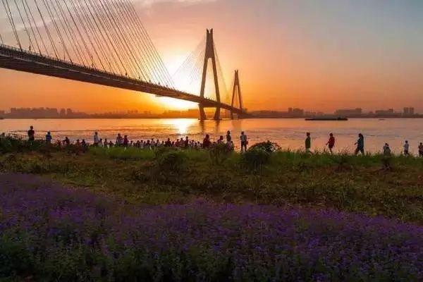 武汉市最热门的春游景点,2022武汉春游好去处