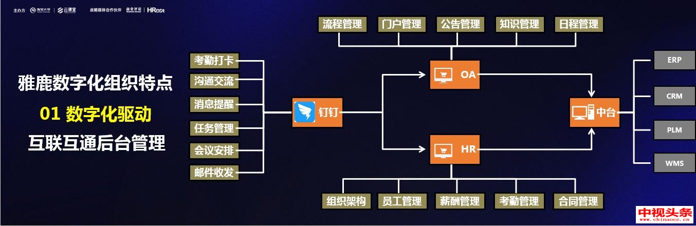 雅鹿崔业松,雅鹿男装崔业松