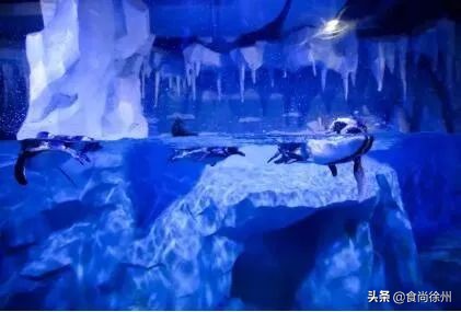 深夜重磅消息,深夜突发事件新闻