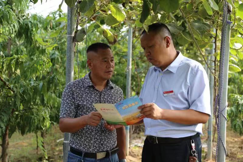 扎扎实实服务乡村振兴战略徐州人保财险创新农险高质量发展纪实