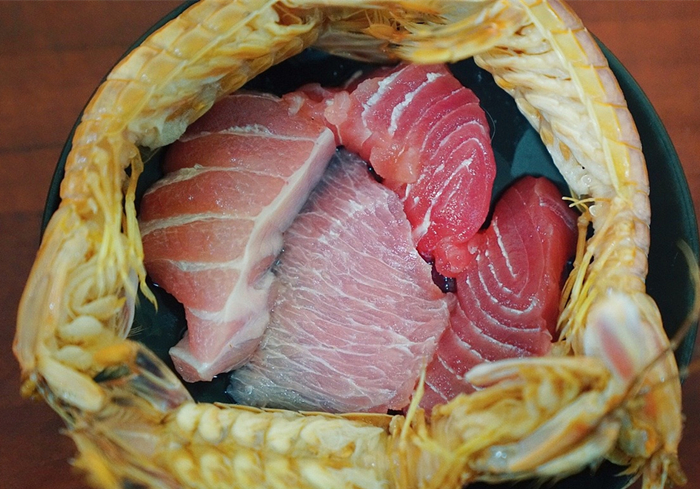 养猫发现有小飞虫,换季养猫注意事项千万别害了猫命