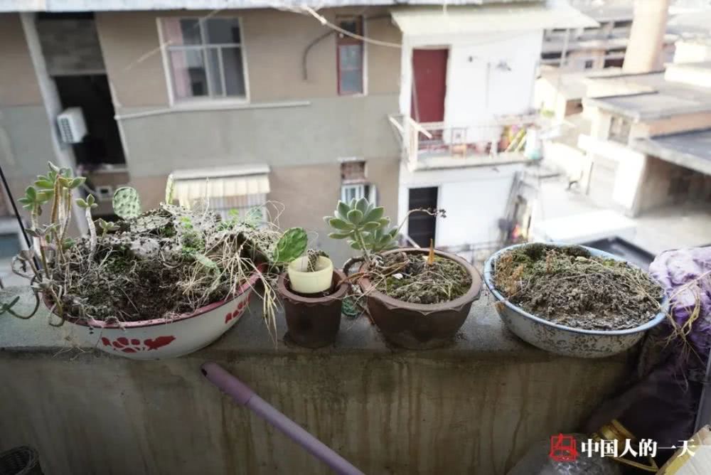 回家发烧到了39度,发烧38.6摄氏度在家该怎么处理