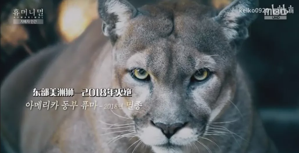 15岁怀孕，她被骗吃下*药炸**，一尸两命：有些人，这辈子不配为人