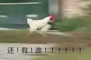 手把手教你申请泰国商务签证,泰国签证如何办理流程及费用