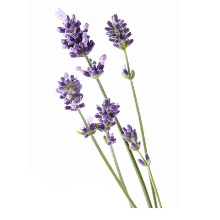 专业祛红血丝修复敏感肌,修复红血丝脸部精油