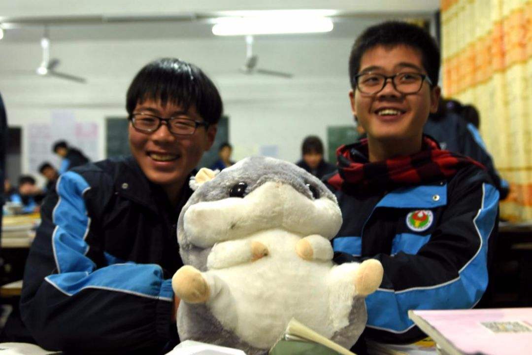 学生时代那些令人羡慕的同桌,哪些同桌最好