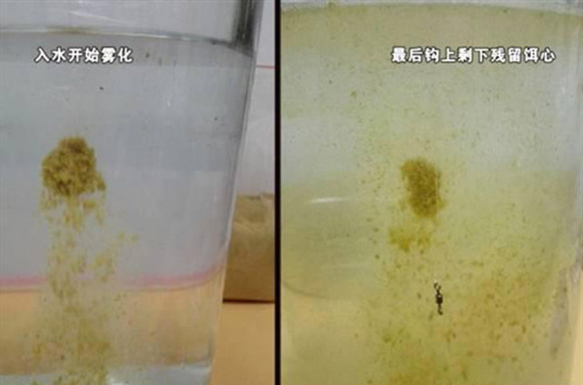 鲤鱼饵料黑坑专用黄面,黑坑钓鲤鱼黄面和什么饵料搭配好