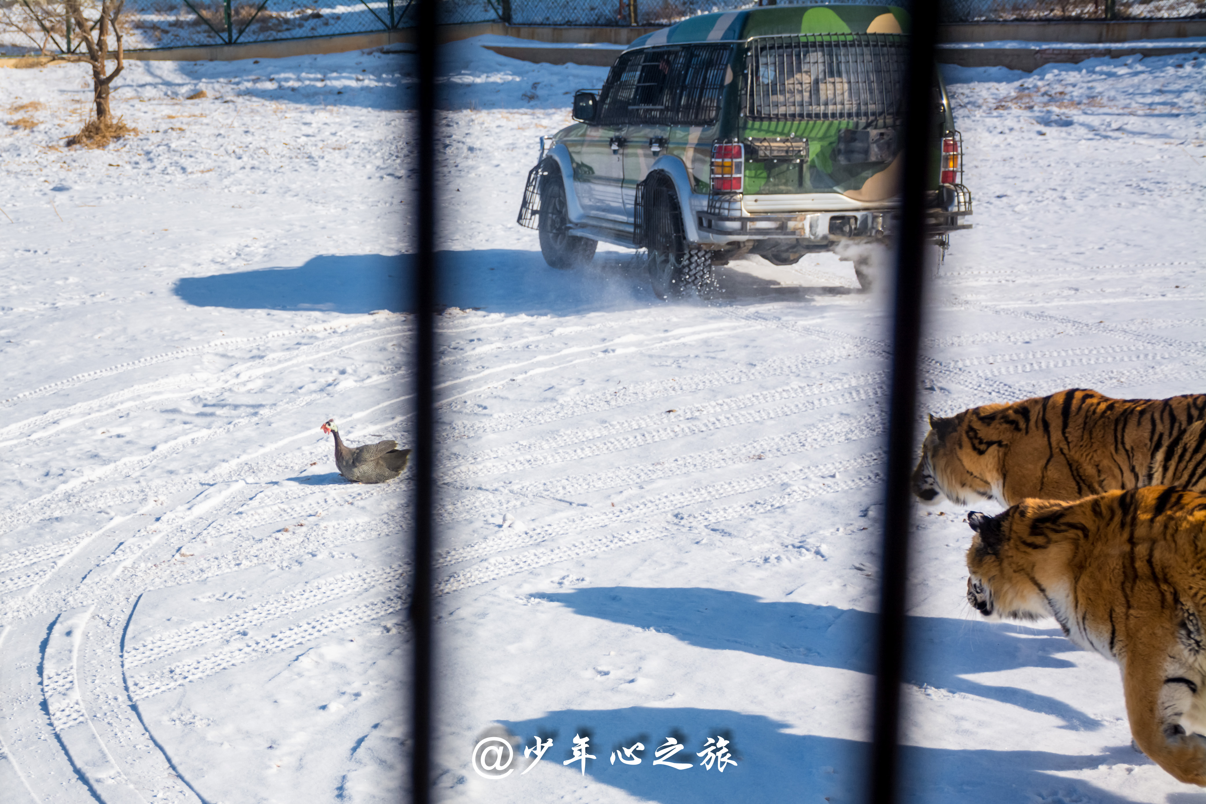沈阳怪坡风景区门票多少钱,沈阳十大景点怪坡一日游攻略