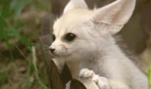 厦门马戏城灵玲酒店,厦门灵玲马戏酒店套票