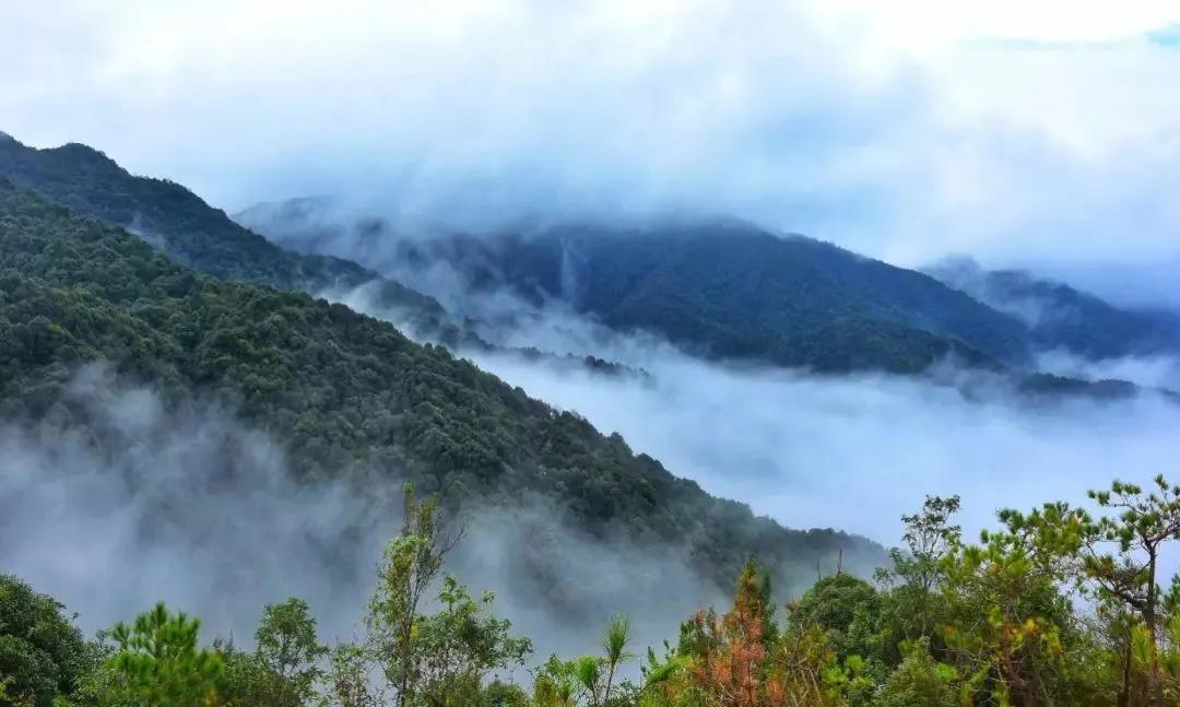 云尚品名优企业展|斗记茶业：弘扬茶文化，打造客家茶园综合体
